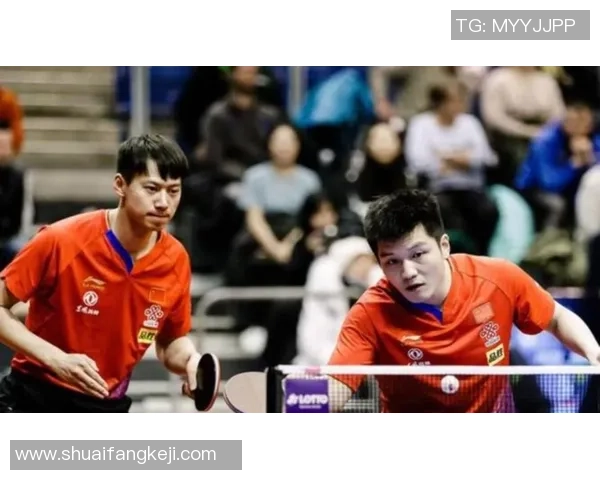 周雨：和樊振东交手就像打机器人 打过去就弹回来他永久多一板